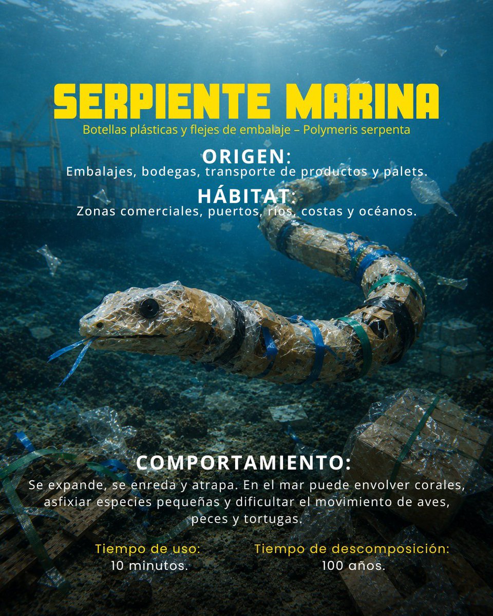 AtunecEC's tweet photo. El monstruo marino más letal de todos nace en tus manos. Desliza para conocer el peligro y frena la destrucción. ¡Dile NO a las bolsas de plástico! 🐟🛍️ https://t.co/dPCmYiGWgv