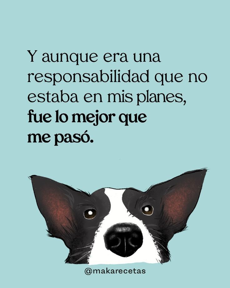 rey_latino33087's tweet photo. https://t.co/sRdP7bNYwM