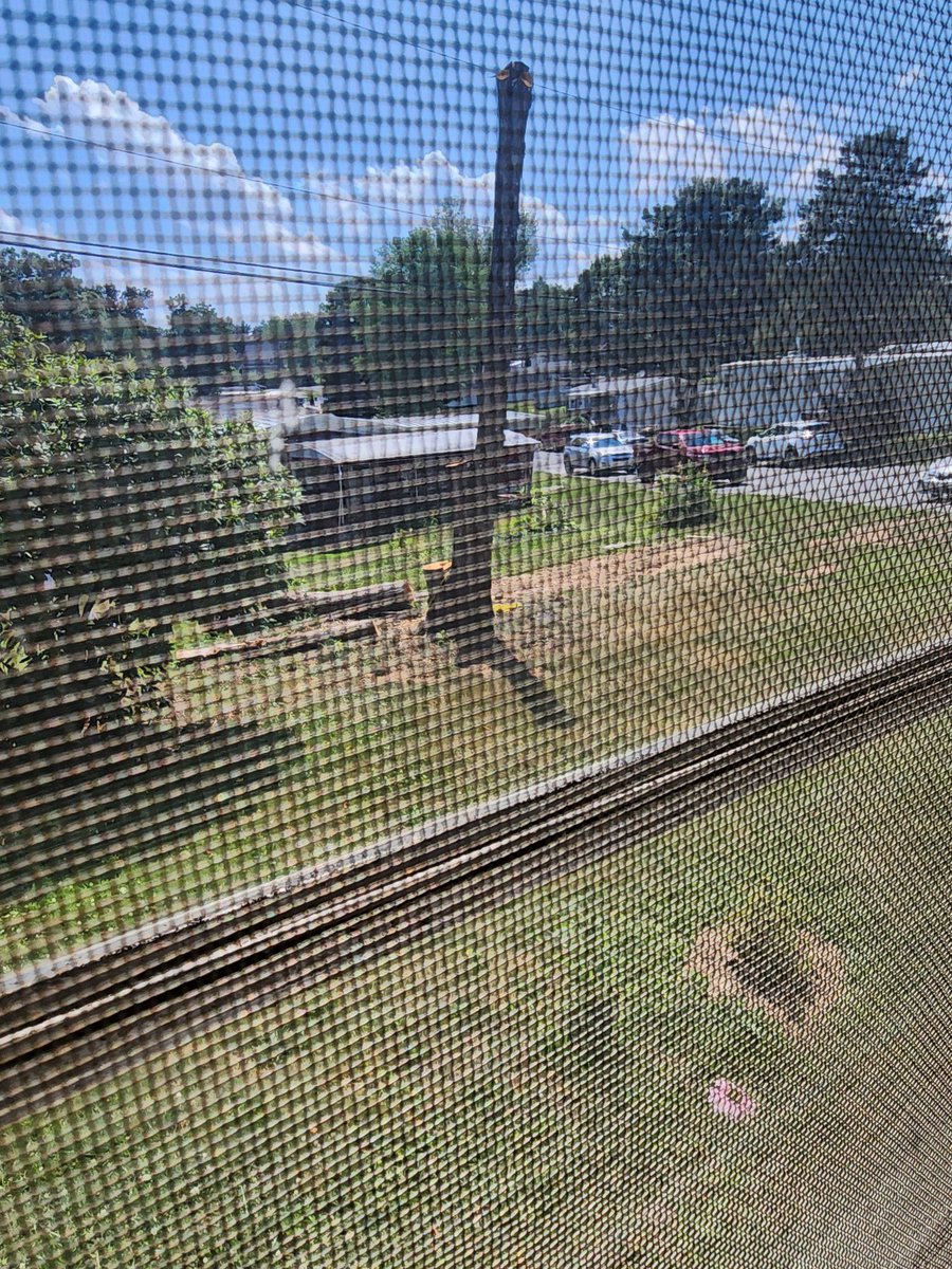 Not_Sure02's tweet photo. This tree was cut down this week- gave me shade during the hottest hours of the day- im in a trailer home, older like the one closest- a tin can- i can feel the difference- 10 degrees at least- I dont see the point of working to pay for a place I have no ac no heat, cant reg temp https://t.co/MaNYXooKna