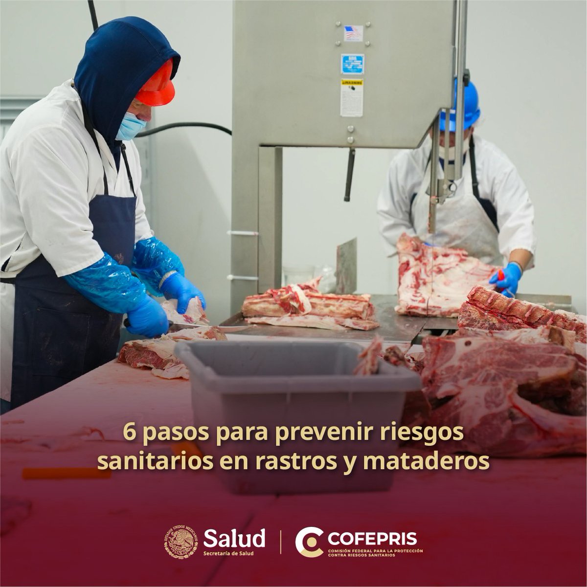dprisqroo's tweet photo. Durante los procesos de transformación, conservación y manipulación de productos cárnicos 🐂, es esencial cumplir con las condiciones higiénicas adecuadas. Esto permite prevenir enfermedades transmitidas por alimentos.
#CofeprisCuidaTuSalud #Rastros https://t.co/qVTCS067hg