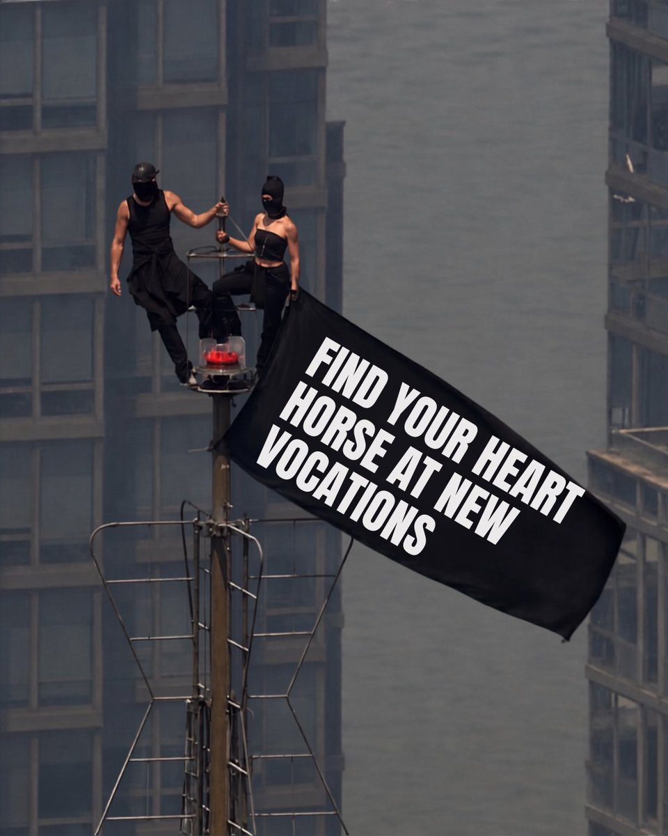 NewVocations's tweet photo. We'll go to any height to help our horses find home. 🤎
The goal has always been the same: happy horses in loving homes.
We'll shout it from the top of the Empire State Building if it means one more horse finds a home. 📣
#EveryHorseDeservesAHome #AdoptAHorse #OTTB #RetiredRacehorse #Thoroughbred #NewVocations #HorseAdoption #SecondCareerHorse #LifeAfterRacing #HeartHorse