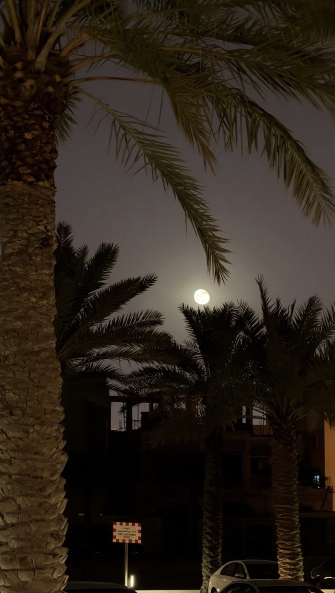 عبدالعزَيز tweet media