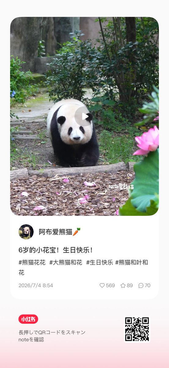 ちーじー🐼🌼 (@mutasokj) / Posts / X