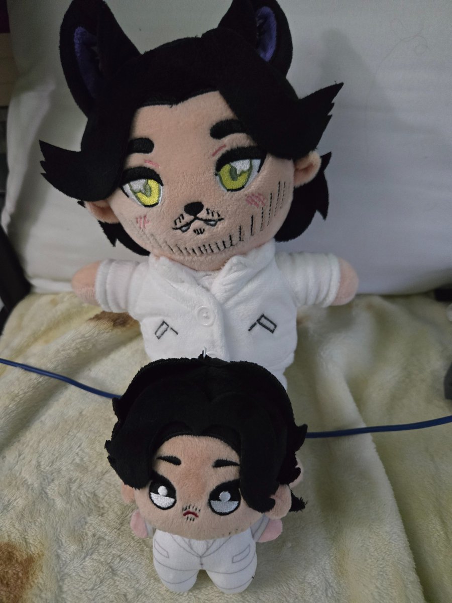 foxyfromsrent's tweet photo. don't talk to me OR my son EVER again- 
Arrived a day EARLY AGAIN- tysm @BlueWolfAngel28 
(Dont mind the third pic-) https://t.co/BCTnlm1503
