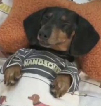 swifolk's tweet photo. Eu sinto que participei pelo menos 1% do casamento da Taylor, vou dormir em paz hoje https://t.co/dFJxAmX14Y