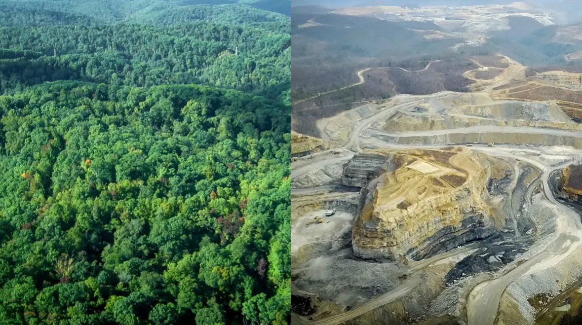adgirlMM's tweet photo. A reflecting pool can be cleaned. 
A ballroom can be repurposed.
Buildings can be rebuilt.
Signs can be taken down.

This is what MINING does to our forests. When these lands are destroyed, they're gone forever. https://t.co/1OAE427hsy