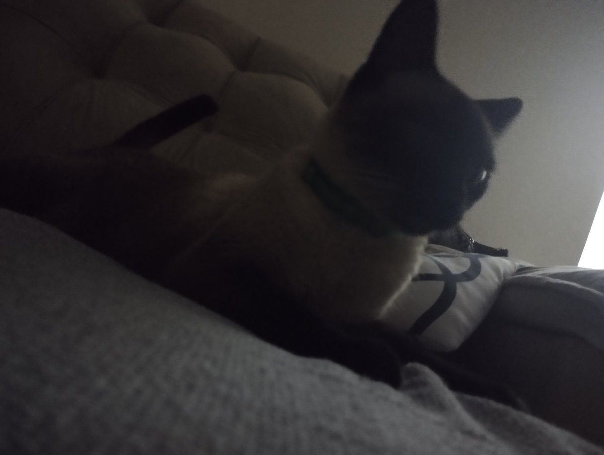 AtreusSemBa's tweet photo. Pelo menos em Limeira tem minha rainha. (E minha vó e irmã) Skkskskskkskskskskskks https://t.co/NyEPPv9041