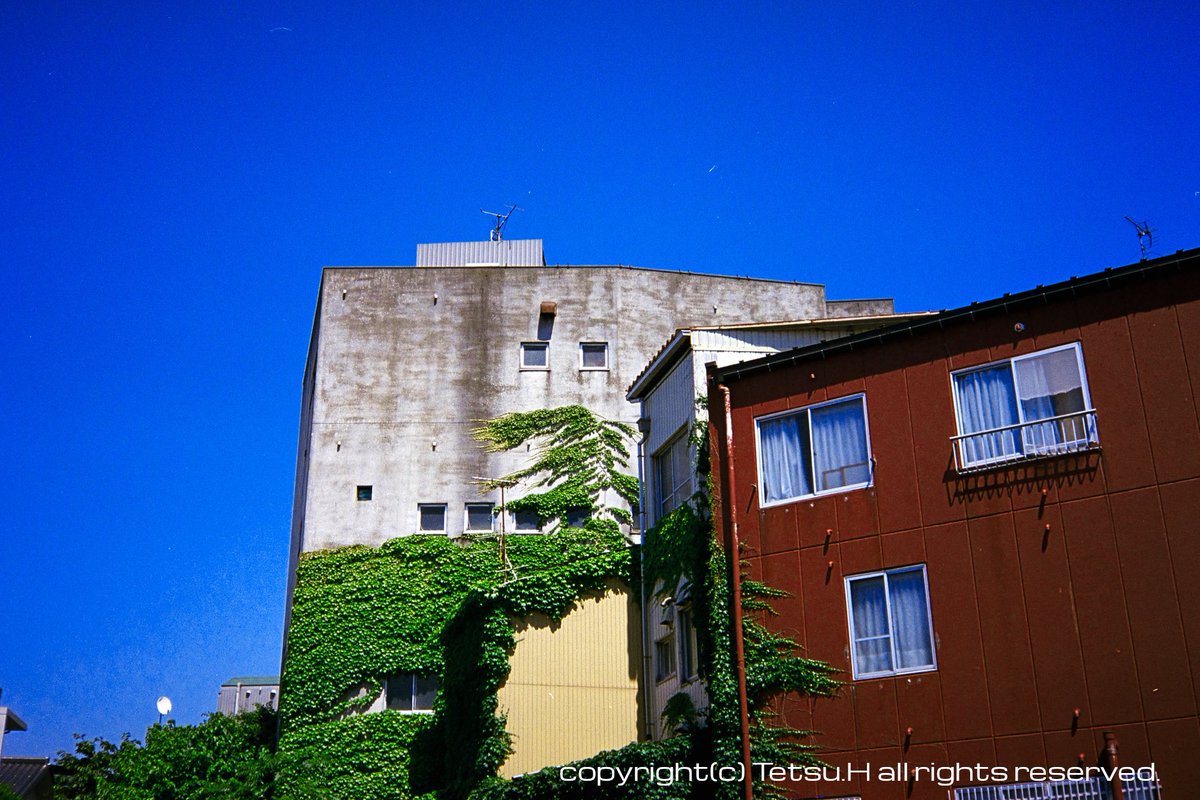 edsoleil2's tweet photo. 2026.6.16 その1
konica C35 flashmatic
MARIX AirColor 100D
現像:マリックス
【GIMPでの設定】
・色相 +20
今日からはc35の写真いきます

#フィルムカメラ
#marix https://t.co/XaoI45luZl