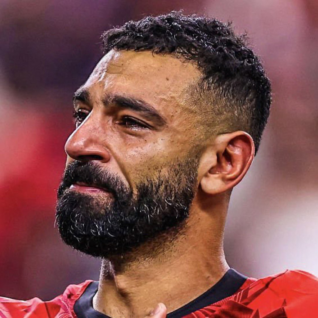 ah20697's tweet photo. الف مليون مبروك ...ونشالله  نفرح تاني وليه لا 
اسطوره يستاهل اكتر من كده 
#مصر_استراليا https://t.co/Huwme5xV21