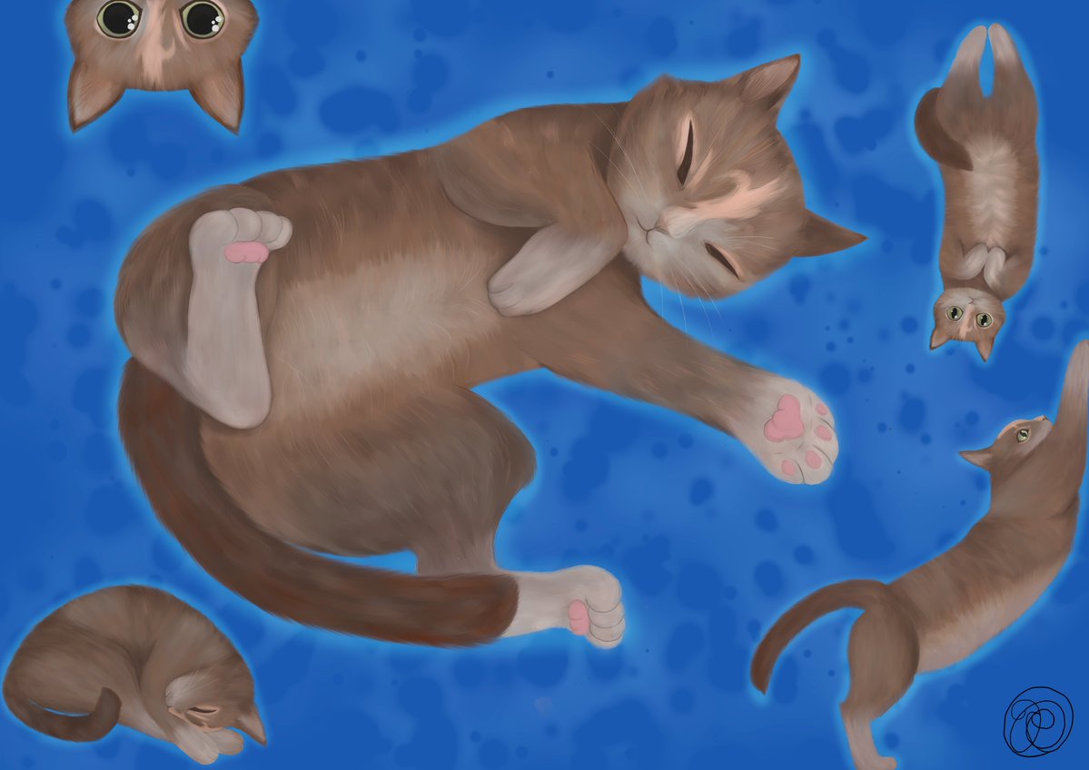 corvinoxart's tweet photo. @VictoriaHa31855 A friend's old cat https://t.co/F19Mkw6vYu