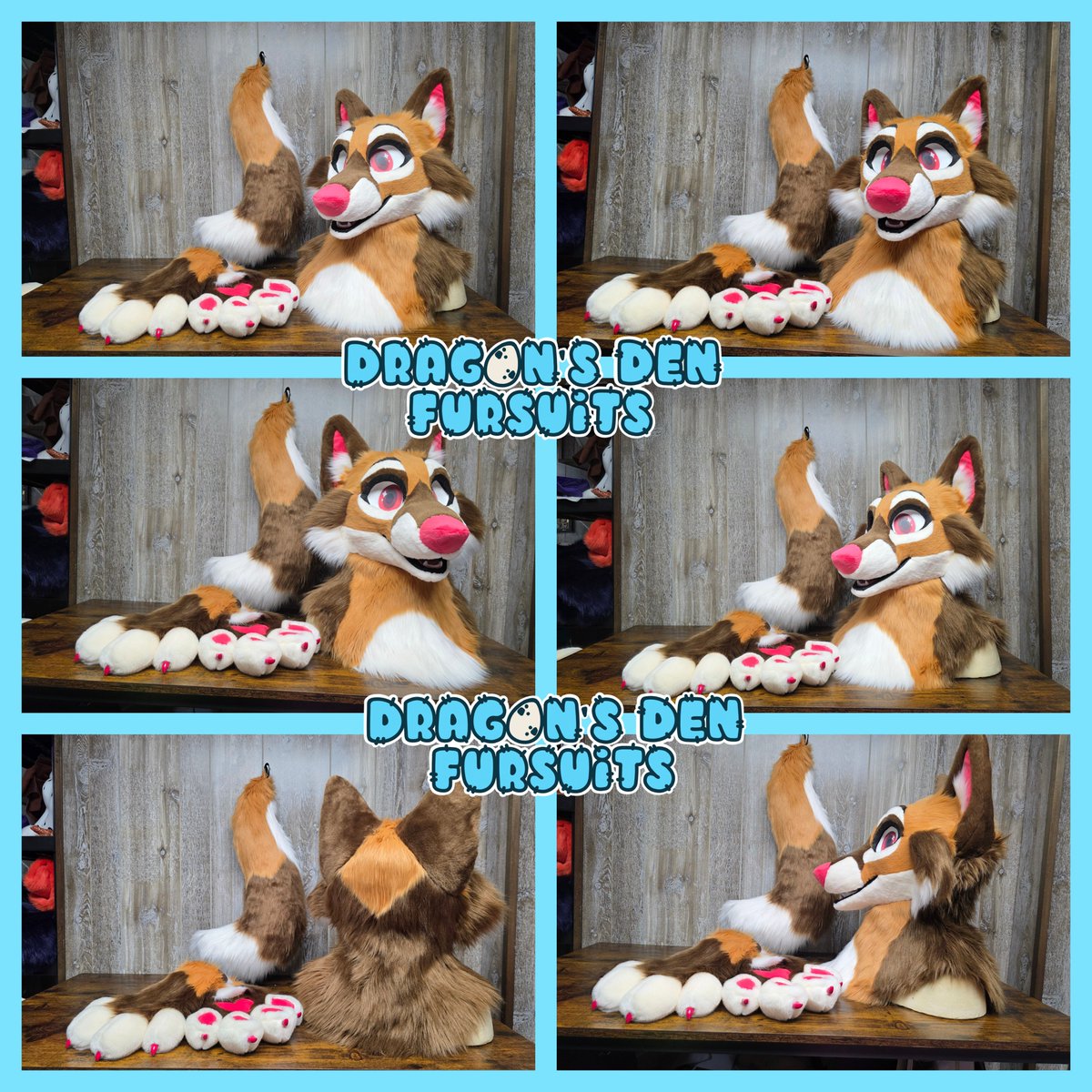 Eelowyn's tweet photo. With Fur Eh just around the corner, here is an adorable fox who will be looking for a home at the convention! 
This cutie has resin claws from DVC and was made using a base from SilentRavyn! https://t.co/j4bvOGSpnf