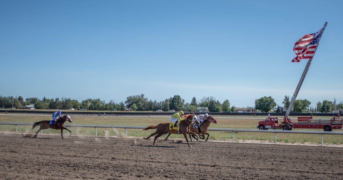 lakemaccasino's tweet photo. ๐ Just ONE WEEK to go until the fastest athletes in America take to the track. ๐ Join us on July 10 and 11 for two days of thrilling quarter horse racing, exciting betting and live music that'll have you tapping your toes. Ready, Set, Go! ๐ถ๐ฐ๐ #RaceDay #Ogallala #Nebraska https://t.co/fNpZN3FTZp