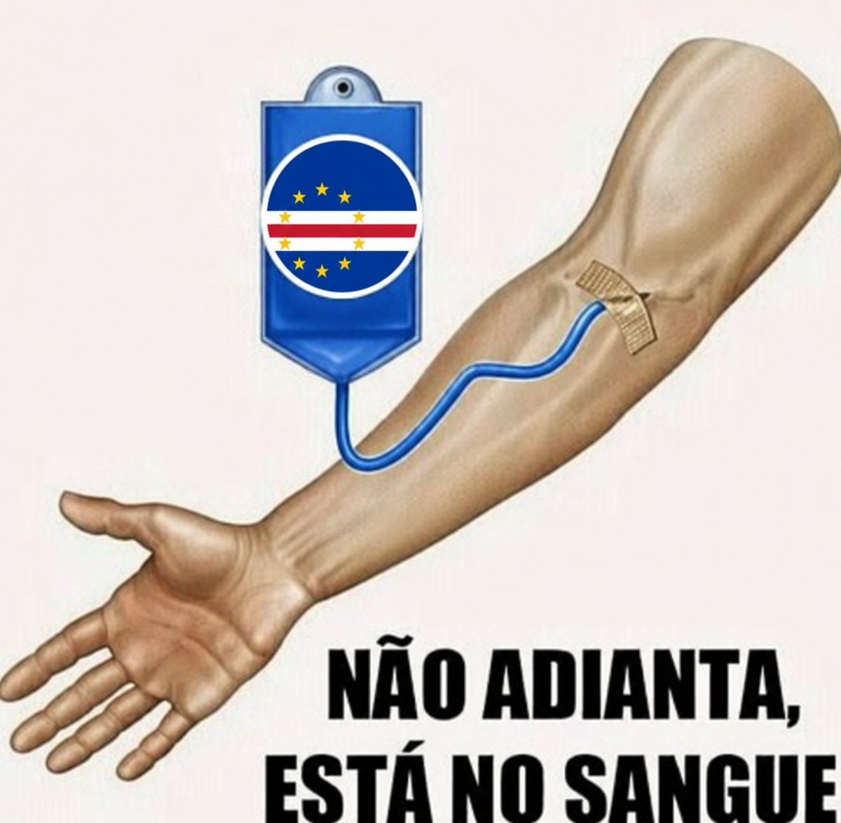 Siillex's tweet photo. @senshi_real É CABO NELES. https://t.co/mea6SdDctj