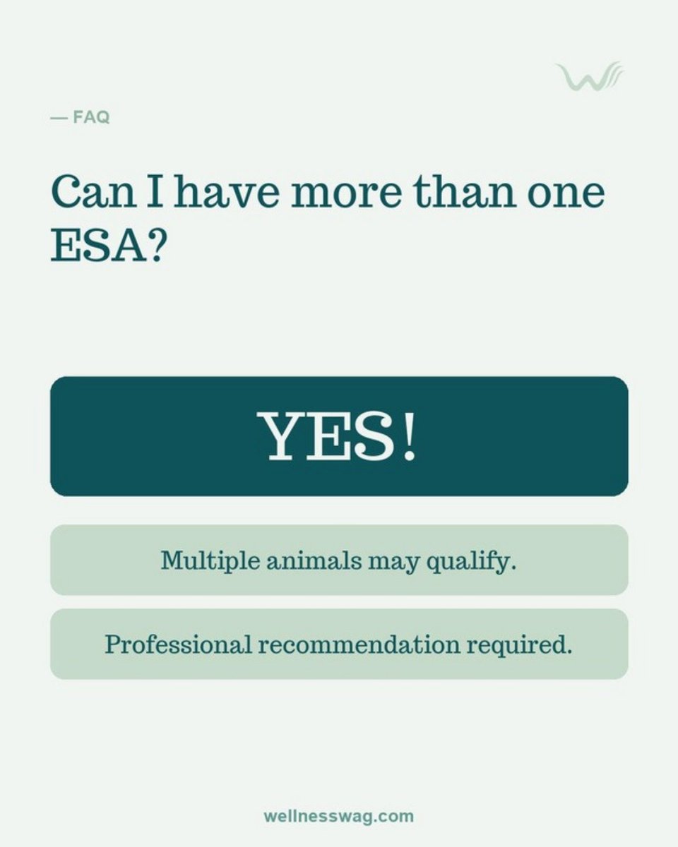WellnessWag's tweet photo. You may be able to have more than one ESA β multiple animals can qualify if each supports your mental health. π https://t.co/Y0fjn9b6M7 #ESALetter #EmotionalSupportAnimal https://t.co/zw6ms7Js6X