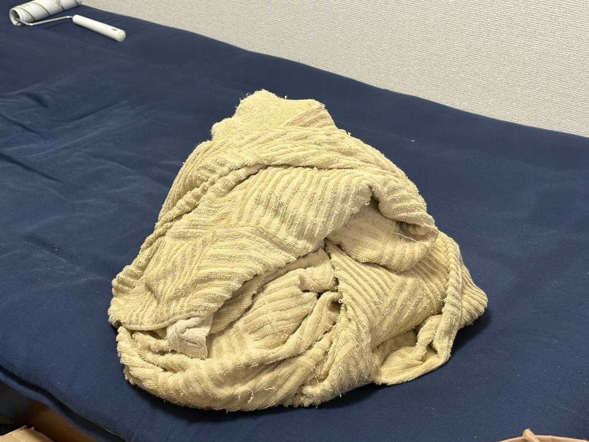 TKTshooter's tweet photo. ロードランナーの金塊か！
（家にあるブランケットです） https://t.co/hi0a0r4Ysw
