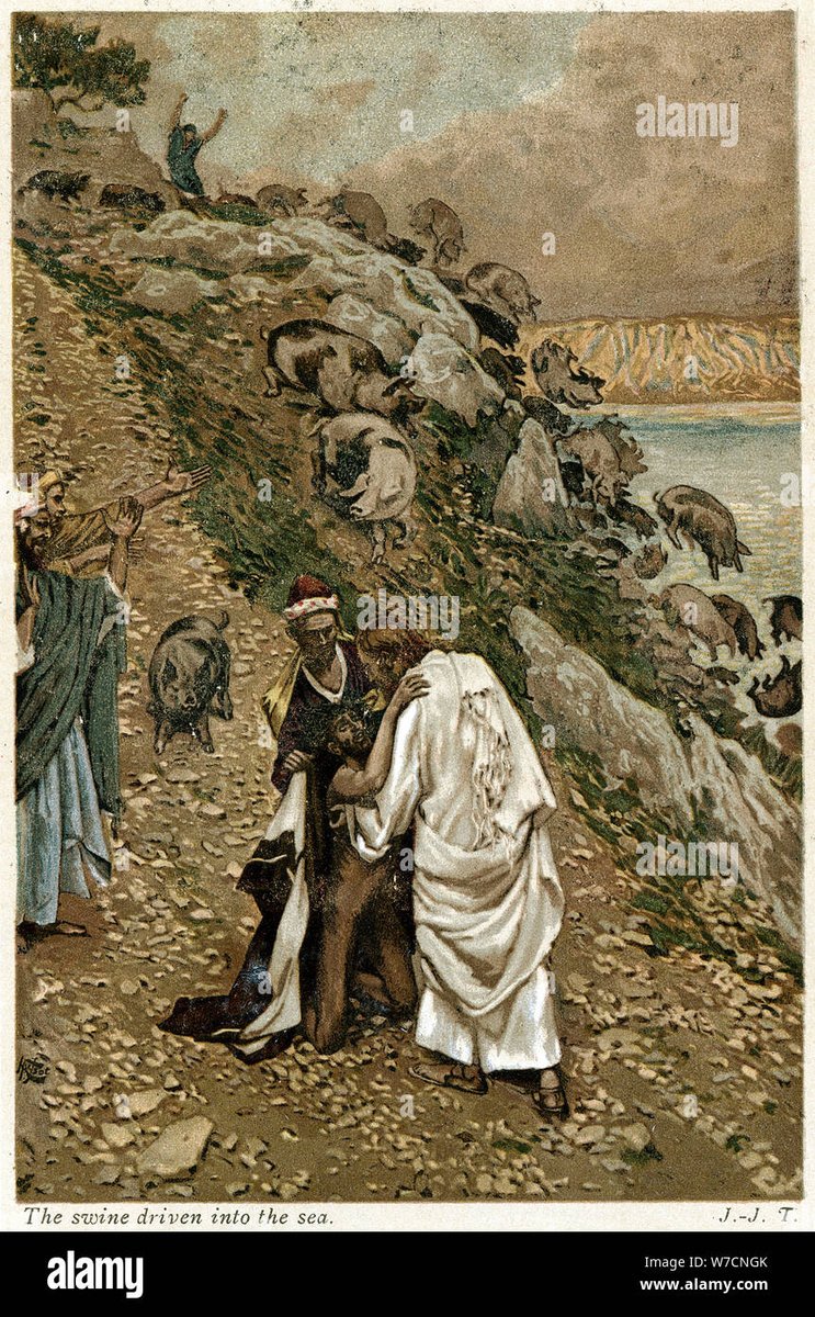 Christian S. 🇨🇦 tweet media