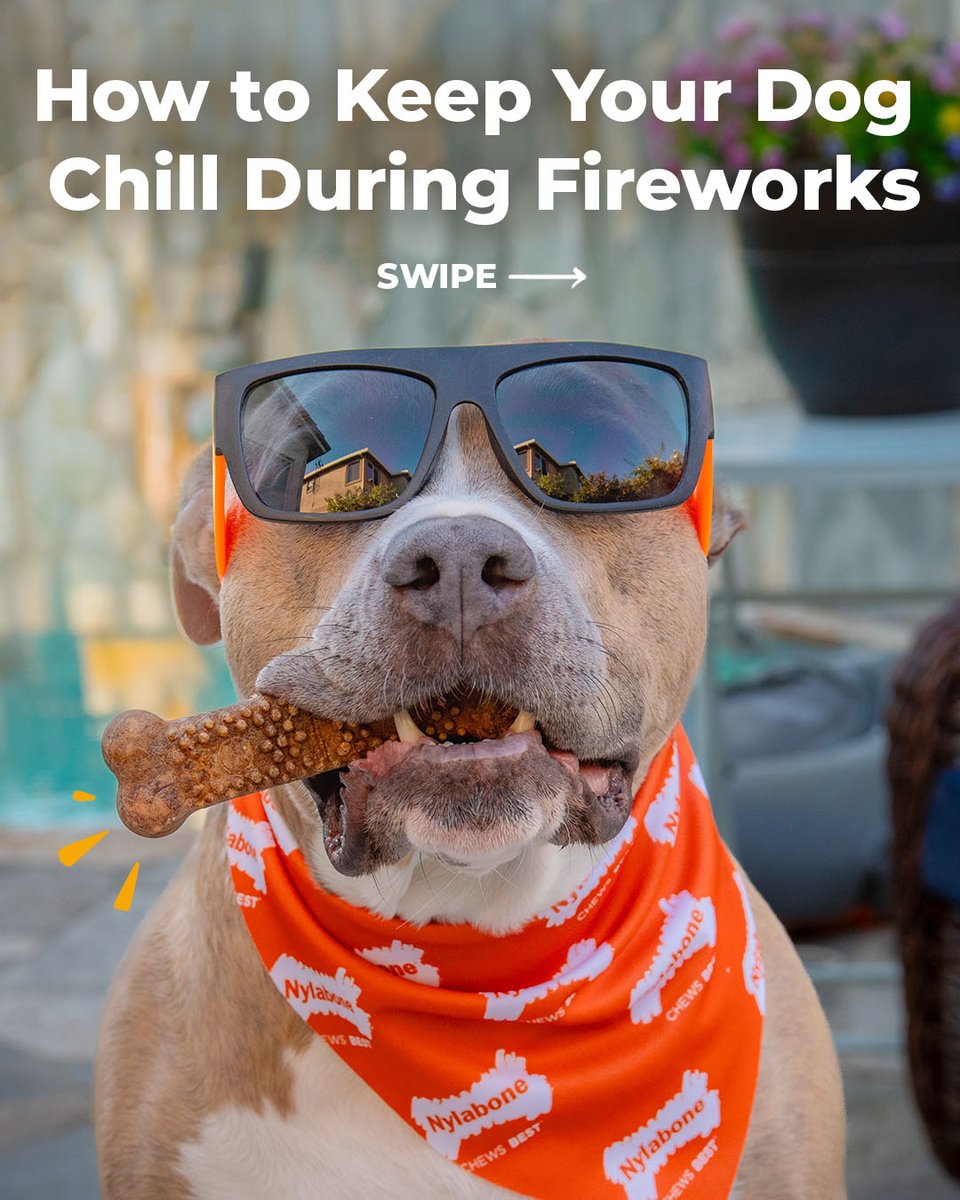 nylabone's tweet photo. A little prep can go a long way during fireworks season. 🎆 Save this post and check out our blog for even more tips to help keep your dog calm this #FourthofJuly.

https://t.co/W3D0ur0L4V

#Nylabone #july4 #dogtraining https://t.co/gUti5GHsUL