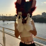 Photo by Fluffy (@FluffWusky)