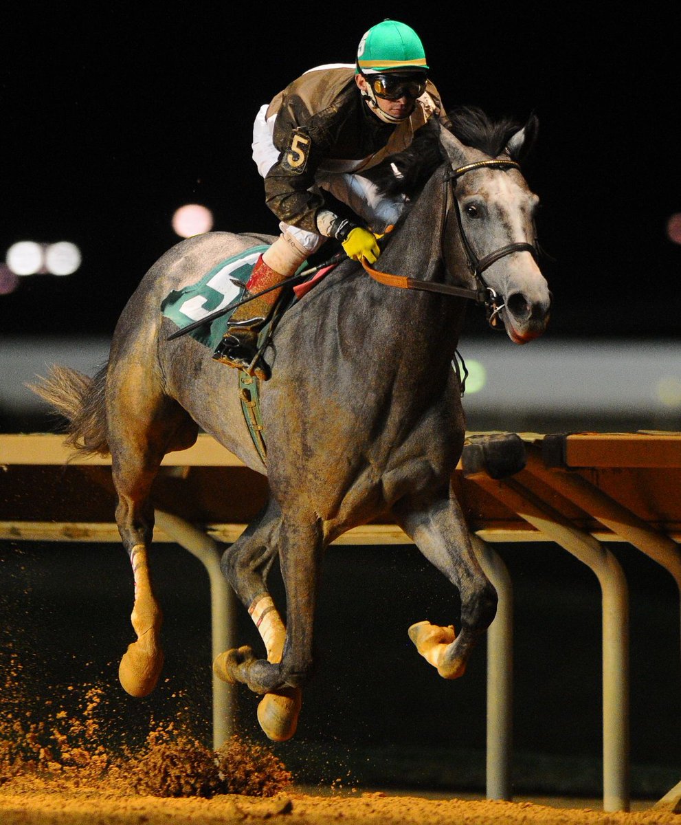 EclipseSports's tweet photo. You will learn a ton of horse racing photography at the 2026 Eclipse Sportswire Charles Town Classic Photo Workshop - that is certain. You will also get to work with some amazing light (weather cooperating). Come join us on August 28th. https://t.co/W9NU5x1TwO https://t.co/Np23srEOFJ