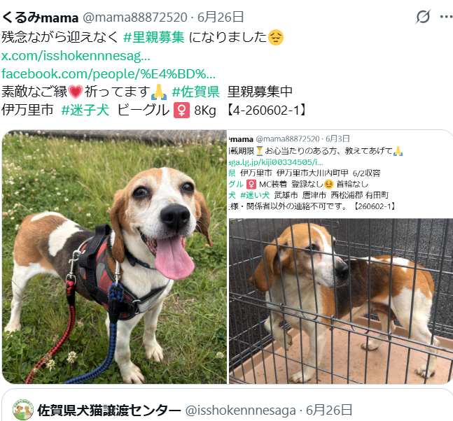 mama88872520's tweet photo. ずっとのお家💗決まったそうです🎉
皆様、ありがとうございました✨
#佐賀県  #伊万里市  #迷子犬 https://t.co/6BzwBJFnr2