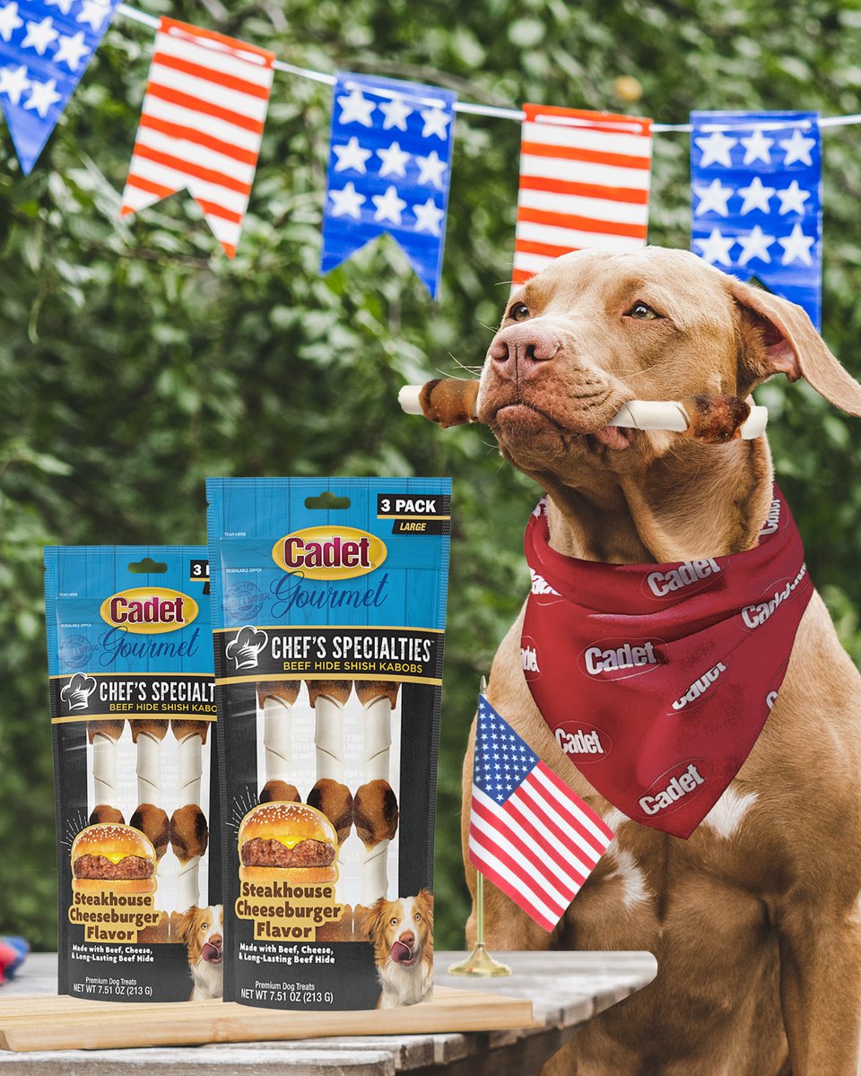 CadetPet's tweet photo. Happy 250th Birthday, USA! While the burgers are sizzling on the grill, treat your dog to Chef's Specialties Steakhouse Cheeseburger Shish Kabobs. 🍔 #FourthofJuly

#CadetPet #july4th #america250 #independenceday #independencedaydogs https://t.co/SdCgLauMKX