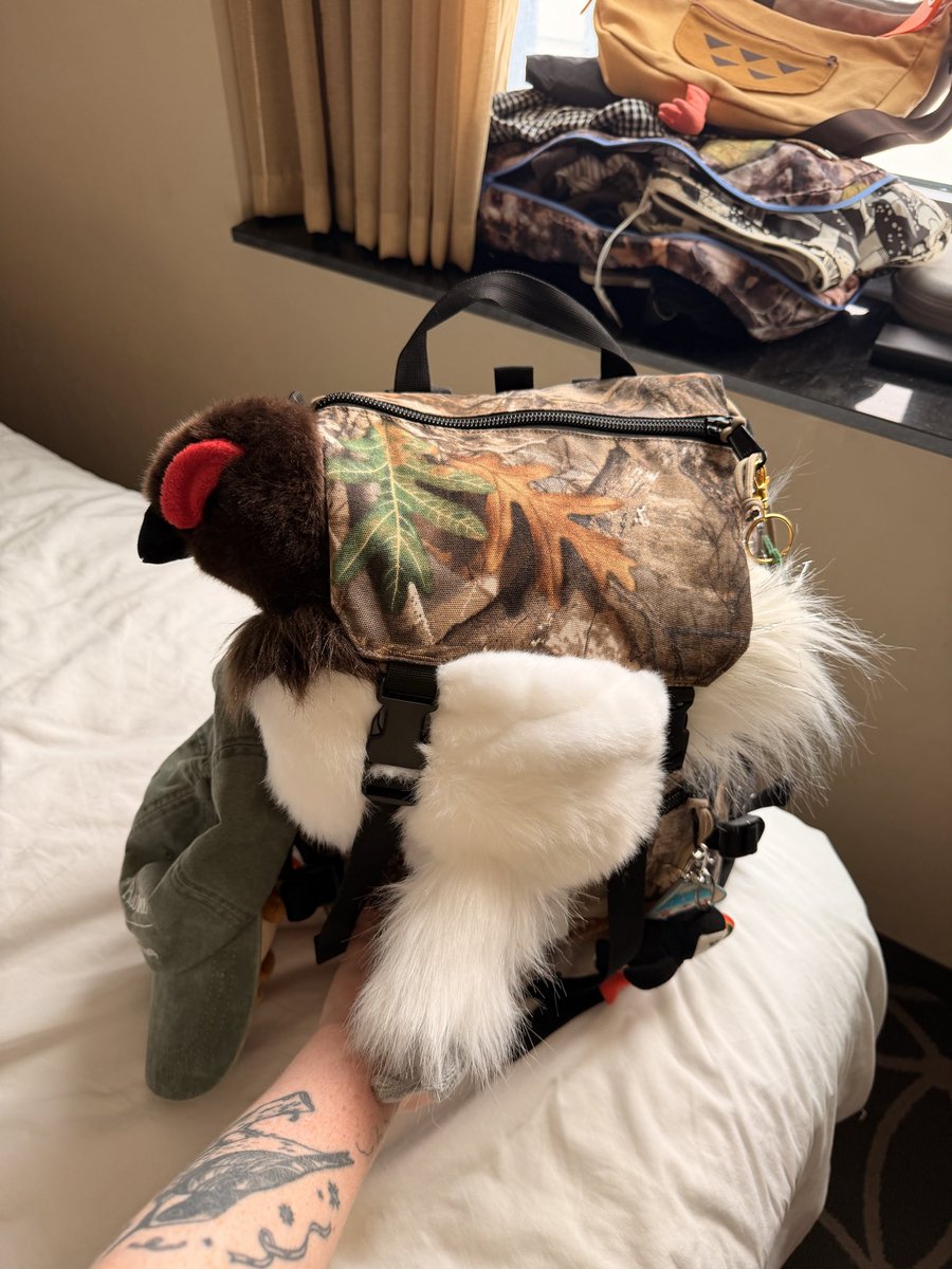 Bird 🌲🦆 tweet media