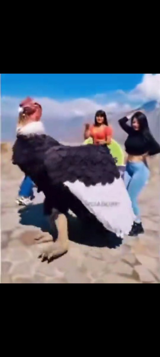Se llenó de pelitos tweet media