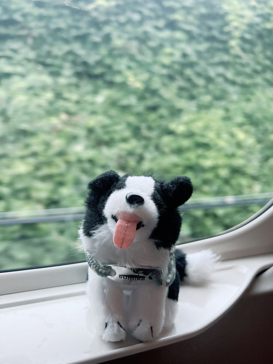 26bear__'s tweet photo. いざ福岡へ
やっとこの日がやってきた〜〜 https://t.co/3owQNWDpPP