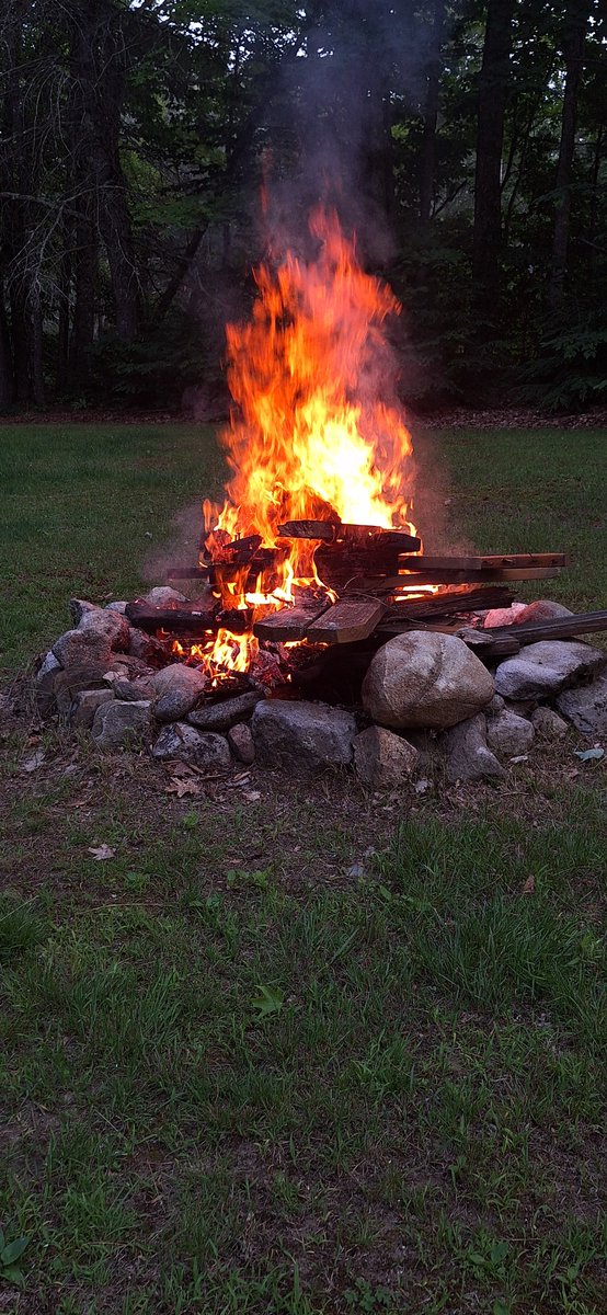 BUCKING_UP's tweet photo. yay yuppie 

I got 12 bug bites in 5 minutes. https://t.co/PUDGfV6bql