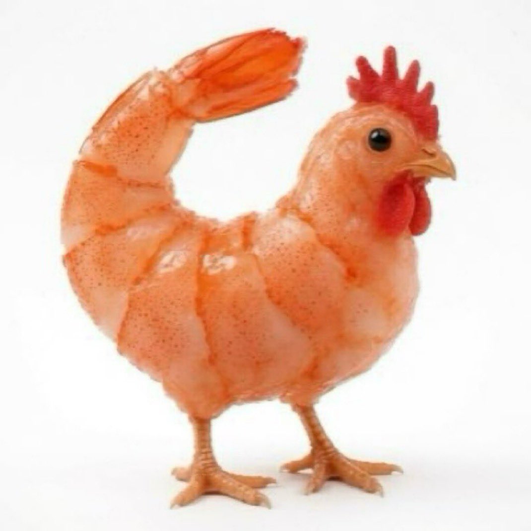 imblankface's tweet photo. chicken shrimp is going to be trading over 10 million within two weeks

9qwxahBxcgKyn5X7kZvkN7qxKZg6pkVD8Lo4URtopump

I advise everyone who follows me - enter while it’s early. https://t.co/Oab64e3HMf