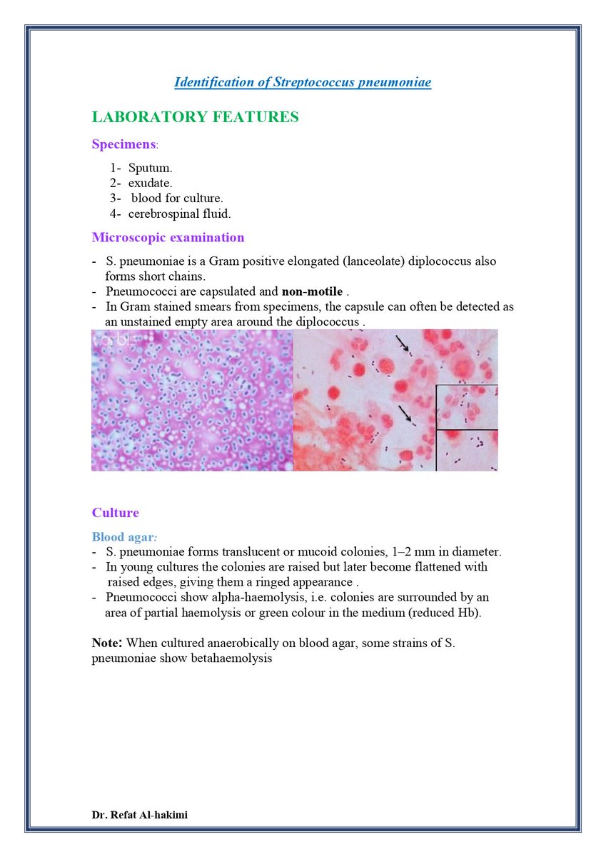 Amallxz's tweet photo. كتيب رائع في شرح العمل في قسم الميكروبيولوجي🧫🦠

لتحميل الكتيب كامل⤵️:
https://t.co/MNKR3lLpqi https://t.co/qGtc9TDkdC