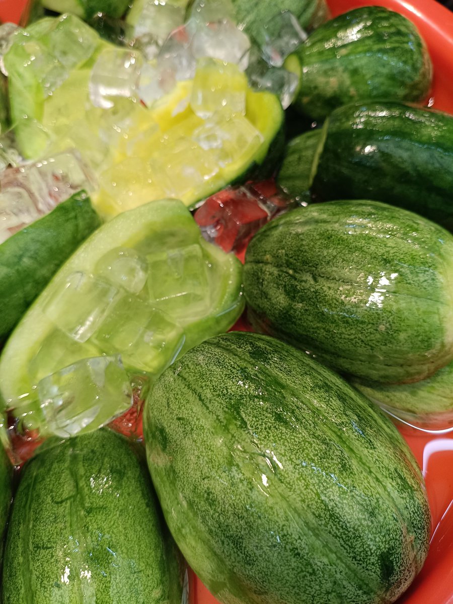 hatadatukemono's tweet photo. 畠田漬物店【夏🎐】の風物詩🎐
【ぺっちん瓜】浅漬✨️
今週より本格的に販売をしております😊
え？先週もぺっちん瓜やった？ネタ切れ？
ふっ…ナニをおっしゃいます…先週は仕入れが安定してなかっただけのこと…今週から安定したということですw
是非に♥
#魚の棚　#畠田漬物店　#漬物　#半夏生　#夏 https://t.co/tYtZbBg4l1