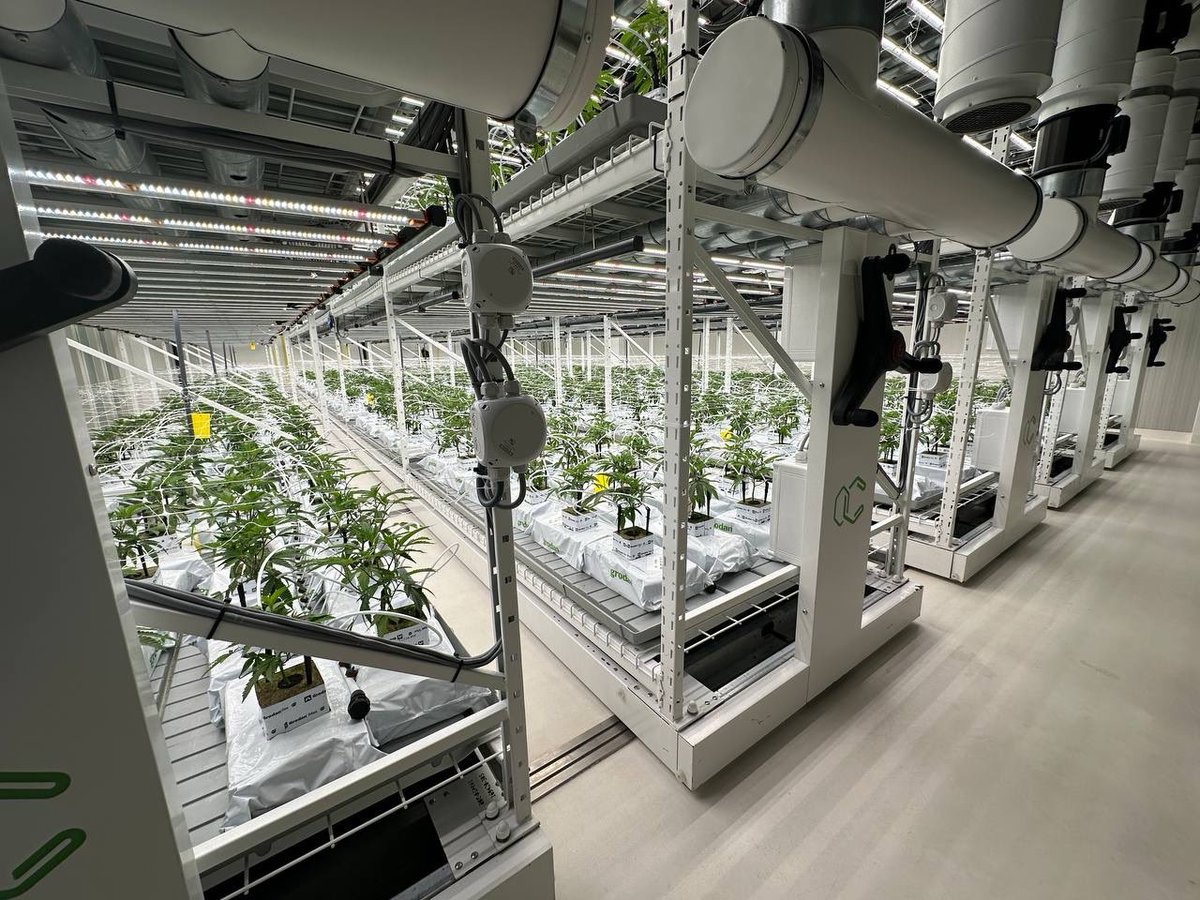 Clonleaf_'s tweet photo. Precision. Innovation. Growth.

At Clonleaf, every stage of cultivation is powered by advanced technology and uncompromising quality standards,helping shape the future of pharmaceutical cannabis. https://t.co/PKo4BwlcrM