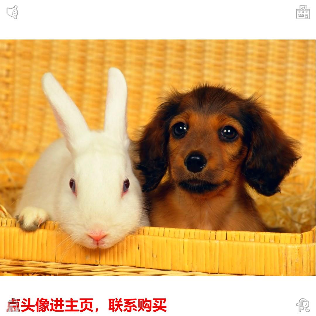 corargar92830's tweet photo. 新品上市 主页看款式

可以远程APP在线使用，懂的都懂，专业iPhone系列改装--针孔摄像头。抄底/偷拍/取证/探花/街拍/监听/考试/打牌/赌牌。

2026/7/4 3:59:09

Keep your vision clear. https://t.co/Piu6JIwBcK