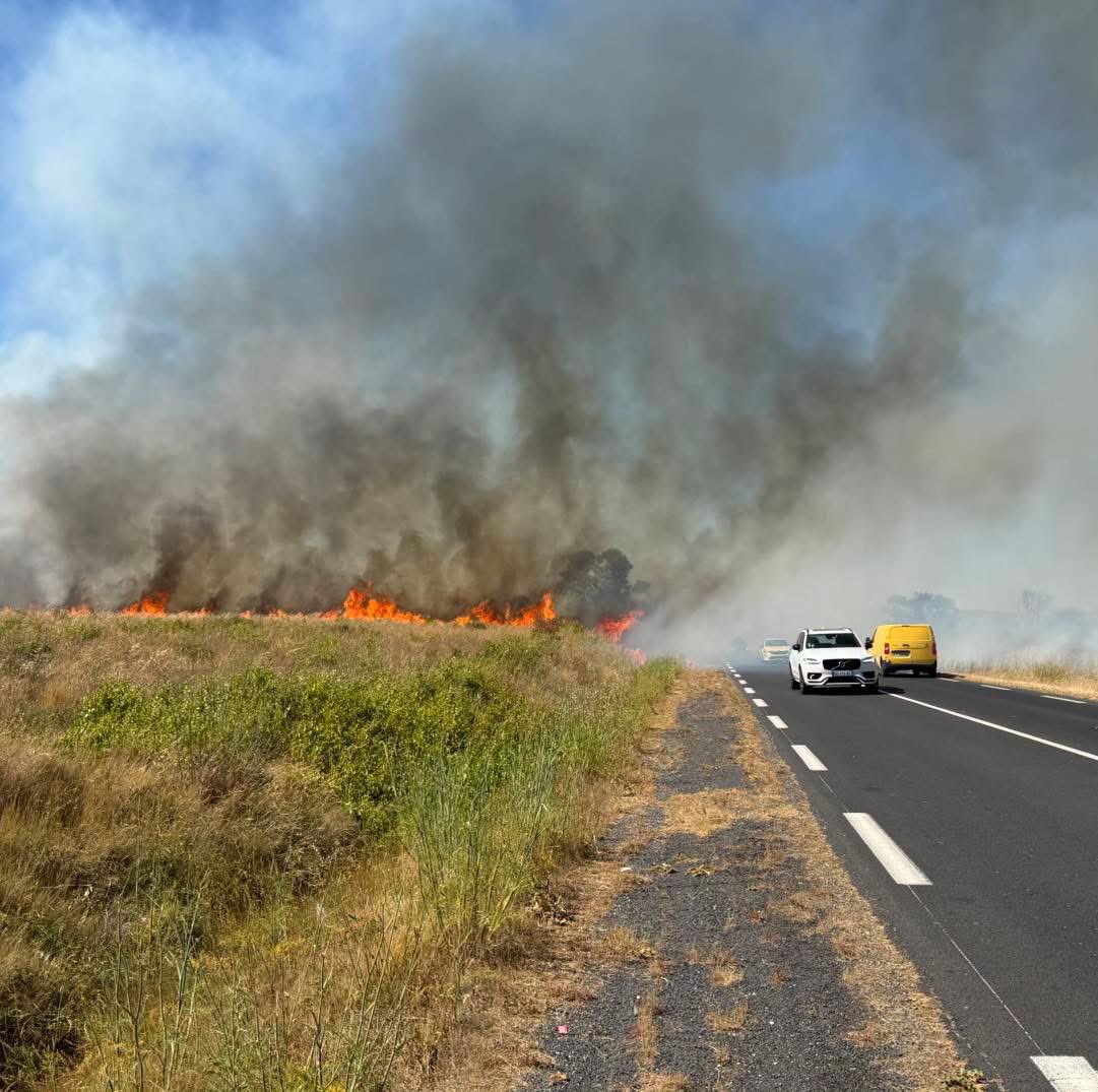 pepin_bonet34's tweet photo. Un incendie s’est déclaré près de la voie rapide. Actuellement à l’étranger pour des obsèques, je suis de près la situation. Mon adjoint et les sapeurs-pompiers sont bien entendus sur place pour circonscrire le sinistre qui, pour l’instant, n’a pas causé de dégâts majeurs. https://t.co/rm88QgjQy1