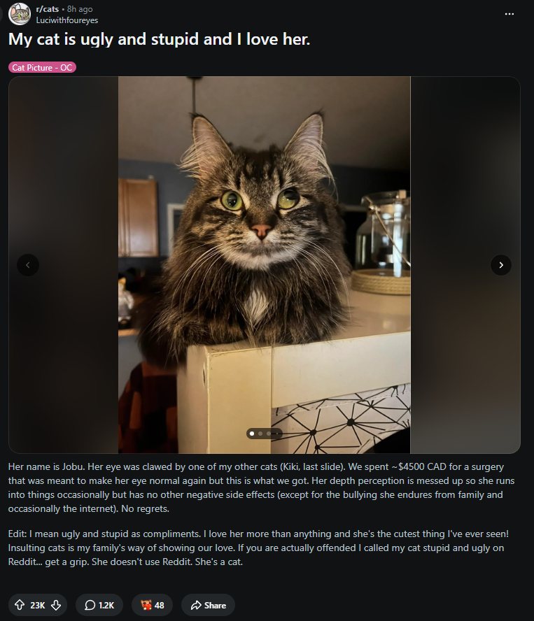 saisons903's tweet photo. since it's cat meta i have found the perfect cat runner that hasn't been done before!

this cat named "Jobu" (posted by the creator) is going really viral with 25k upvotes in 8 hours, for her disability, 

the owner said that her cat is ugly and stupid but she still loves her, and people are admiring the cat in the comments, 

she also looks like derp 

people are memeing and admiring her beauty in the comments, shes so cute!

https://t.co/NuYdIVAovE