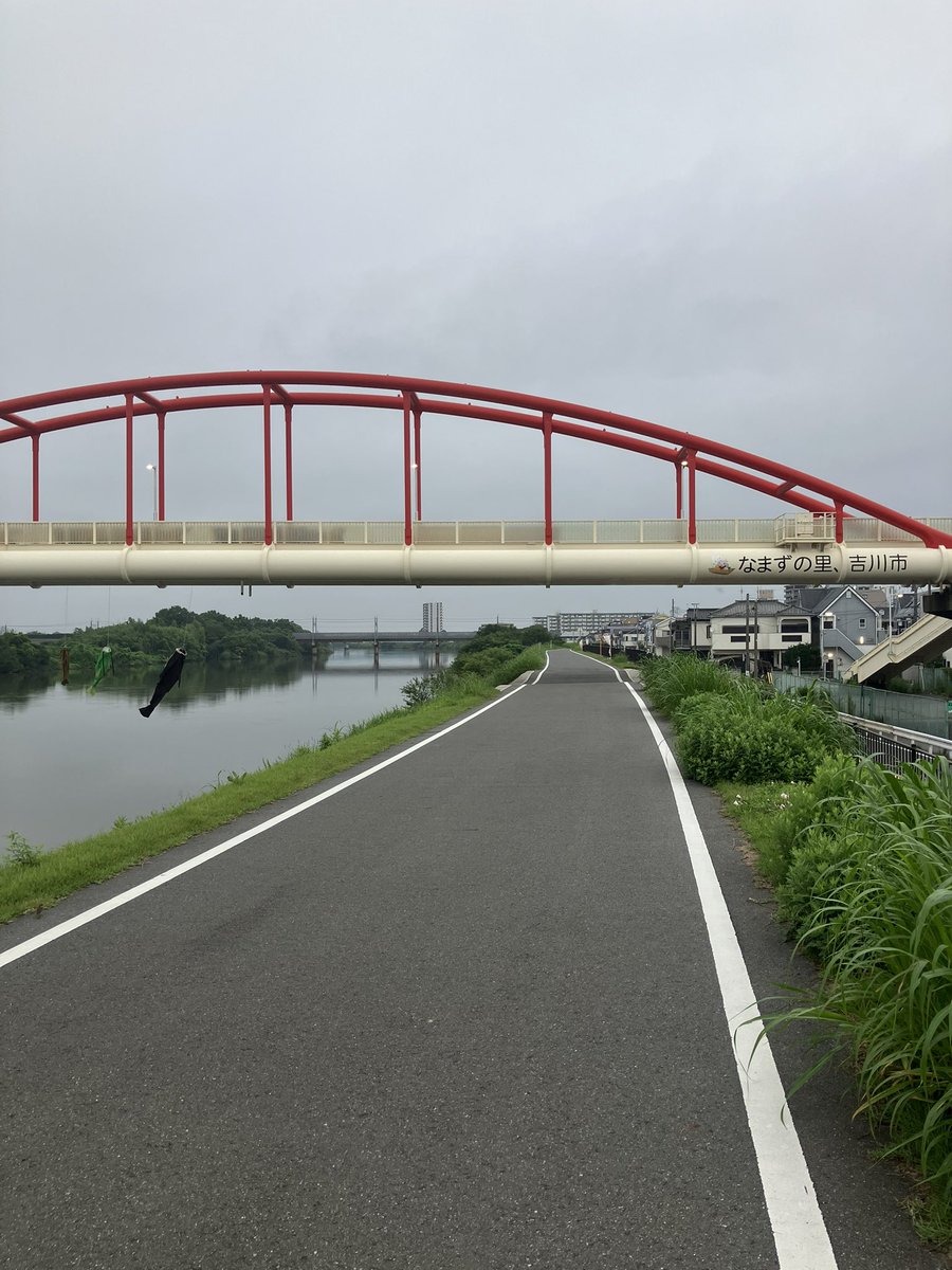 お茶 tweet media
