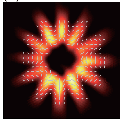 PhysRevLett's tweet photo. #OnTheCover: Far-field lasing pattern from the q = −4 microcavity. The overlaid line segments represent polarization vectors. 

Read the full issue: https://t.co/yOwLRtTE47 https://t.co/yKQbFFyLLv