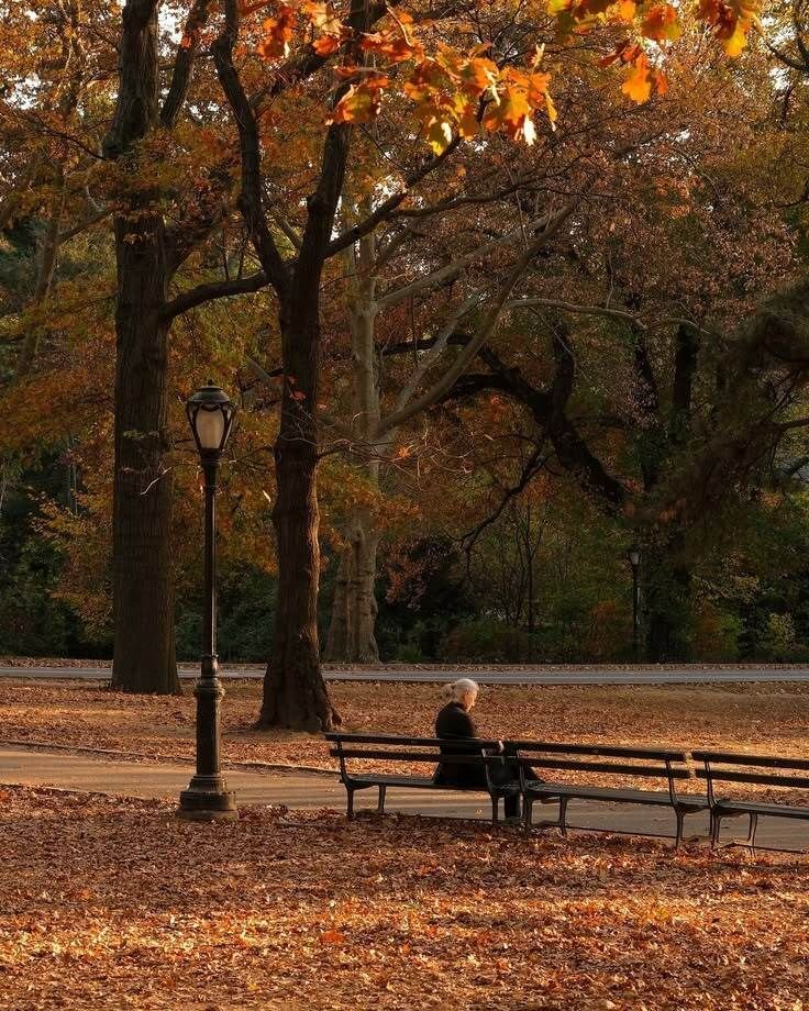 pamvonhadder's tweet photo. unpopular opinion but I’m sooo ready for fall 🍂 https://t.co/7kzKgdassu