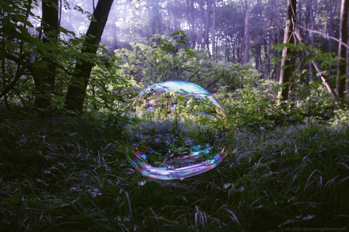 aestheticpost's tweet photo. A forest held inside a floating bubble. An old tree glowing in violet light. Stone walls slowly disappearing under green. Quiet places where the world still feels enchanted. https://t.co/BPcBmtN5g7
