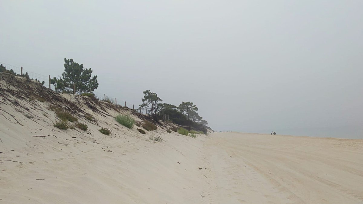 DaniElefantman's tweet photo. Paisaje de dunas arenosas en zonas costeras de  Portugal. #Troia #dunas #playa #hacerfotos https://t.co/LkmE25isth