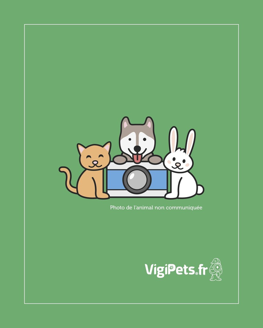 VigiPets.fr tweet media