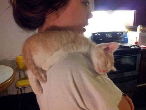 mads2128's tweet photo. meeeee https://t.co/eEwLbRp0pS