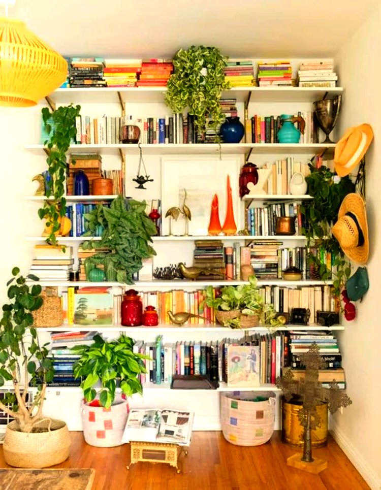 precilia07's tweet photo. Desk upgrade win! Small shelf, cable organizers, and a potted succulent turn my chaotic workspace into a calm, productive spot. Less clutter = more focus! #DeskGoals #WorkFromHome， https://t.co/2ULKTyycQm