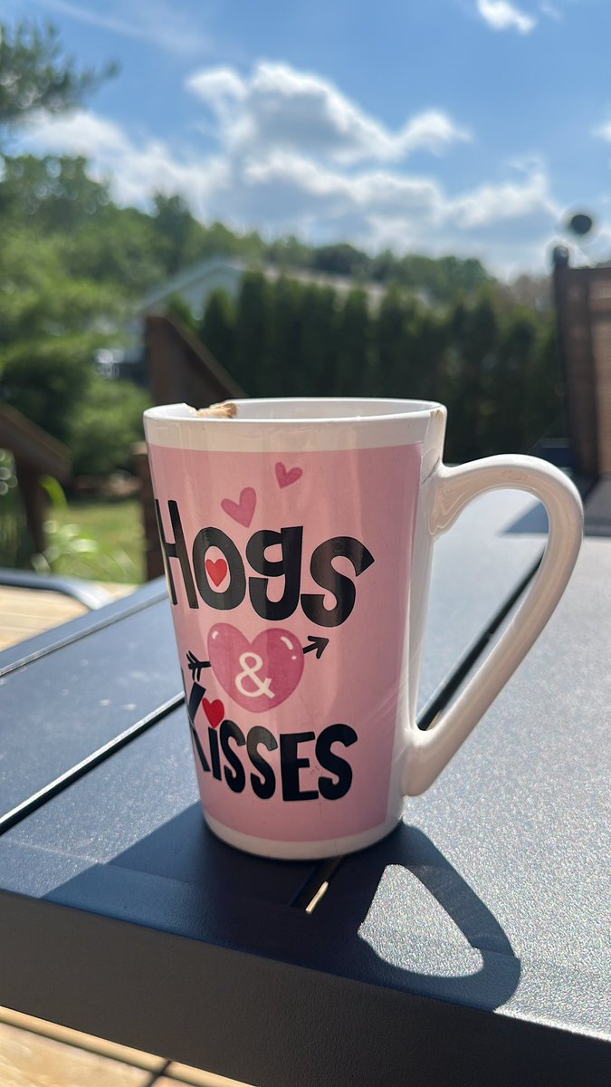 ermmthur's tweet photo. marinating in the sun in 90+ degree weather with a hot cup of tea https://t.co/5gFfnu6K7s