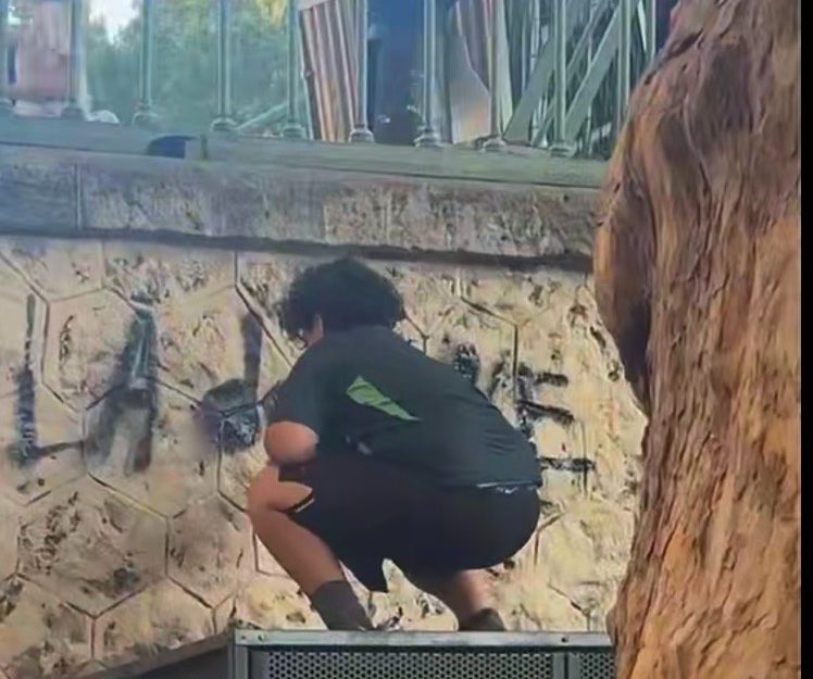 jean_bexon's tweet photo. 🔴 📸 EXCLU | À peine sorti de garde à vue pour vol de téléphone, Hamza F dit LaDouane est de retour au canal St Martin. 
Celui-ci tague ce soir son surnom sur le mur. https://t.co/ZXcLOD3T3u