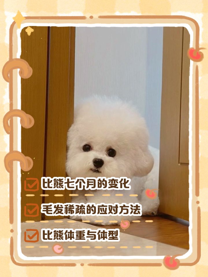 GlaucoHenrique5's tweet photo. When your tiny furball turns into a zooming fluffy bestie in 6 months  Love every messy, giggly growing step! https://t.co/jSIhMGOuml