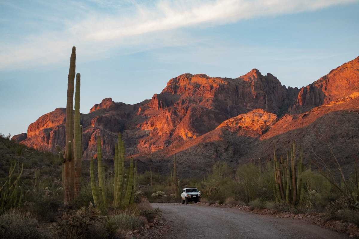 HighwayyChild's tweet photo. Organ Pipe Cactus National Monument https://t.co/1Fxzr2DG1w