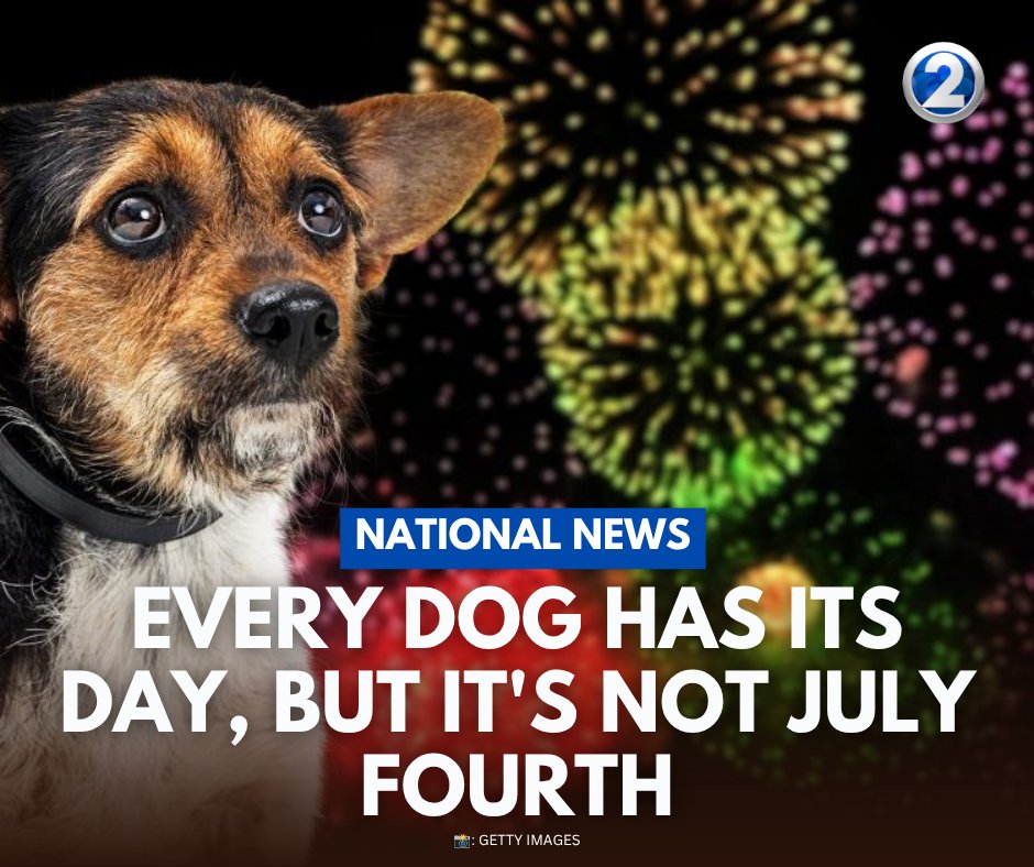 The Fourth of July can be a miserable day for dogs. The fireworks