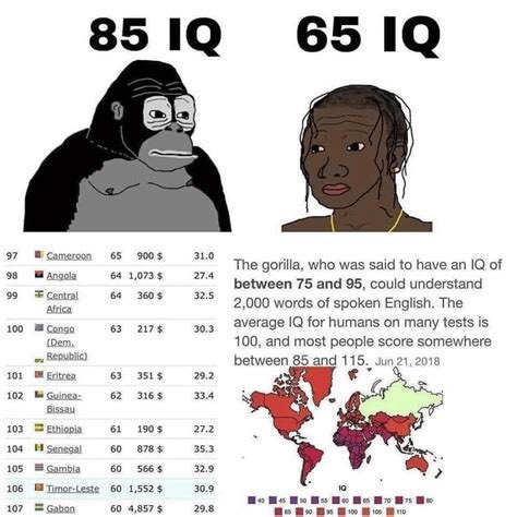 sendalibtospace's tweet photo. @VIc10u5 @KingOelke You niggers are  literally dumber than a chimp. https://t.co/c7U68qyPDw